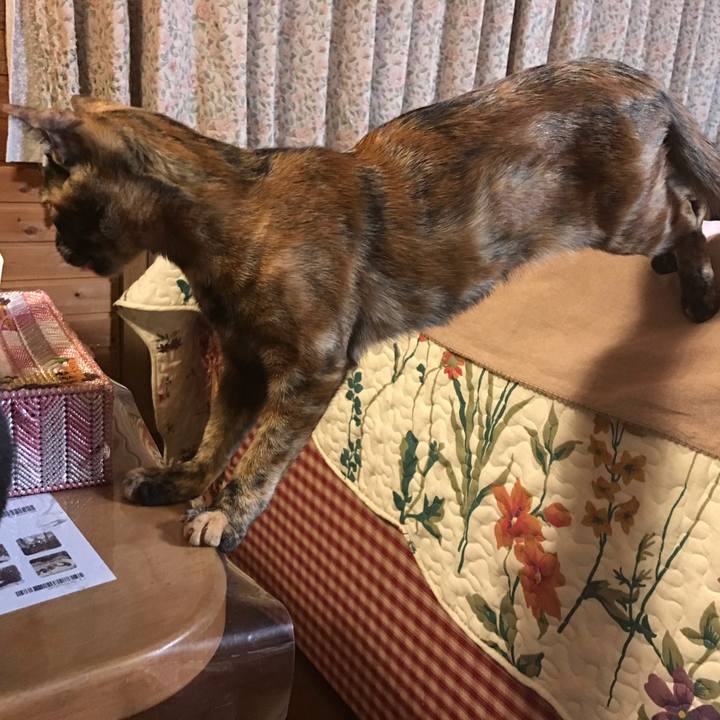 Dd8eda6c 5028 49a9 9a28 c7b0129084af 1610976346017