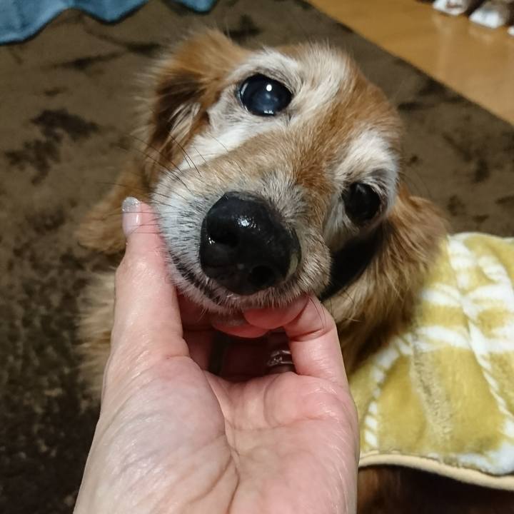 Dd8f396d 8c88 42fc 9ce8 6afd5d9a13ef 1515834422610