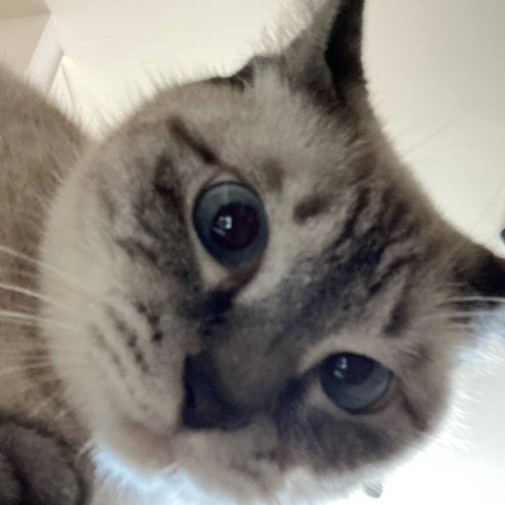 Dd8f586b aa63 48c6 8265 c64e457e87ac 1629616013037