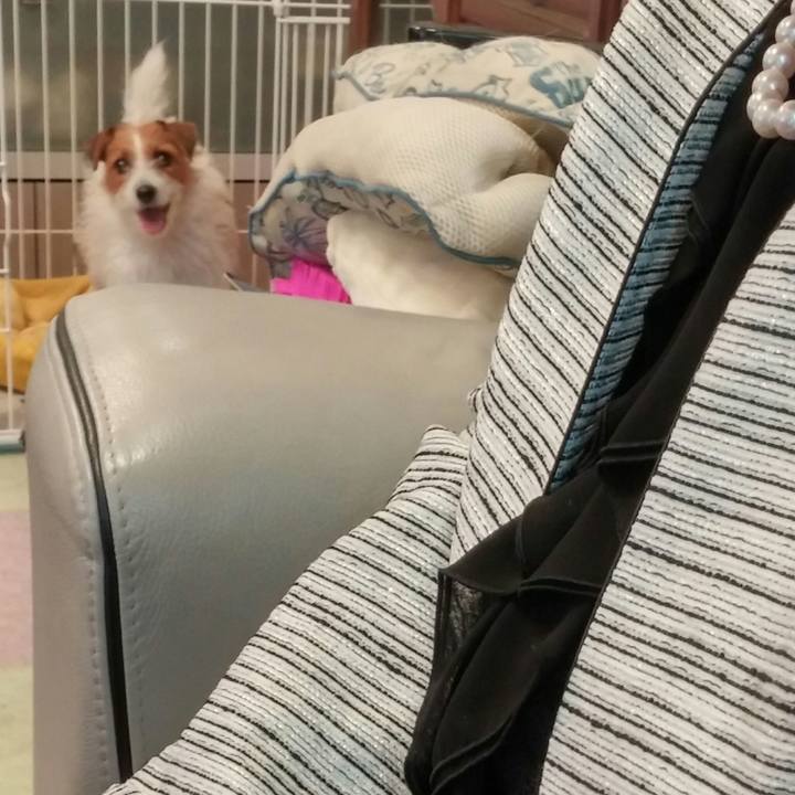 Dd8f6064 66a8 4bb4 bd4a 0b2709d022ce 1537569057503