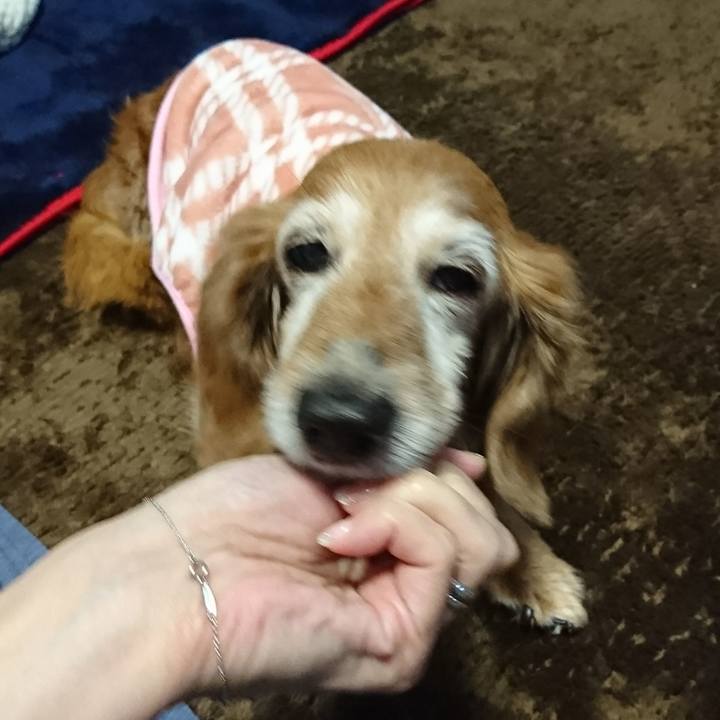 Dd8f9509 3a57 4912 9e5c 940e950b3aa6 1517526165473