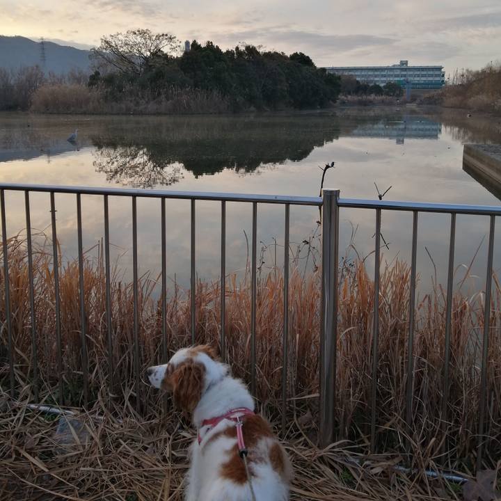 Dd8faed0 4cb8 4ea2 b441 080e57286ff6 1609890079670