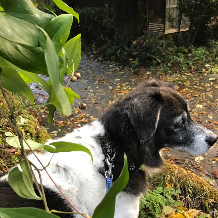 Dd8fdfb9 ed6f 43a5 8ed6 2ba973a80043 1509758512403