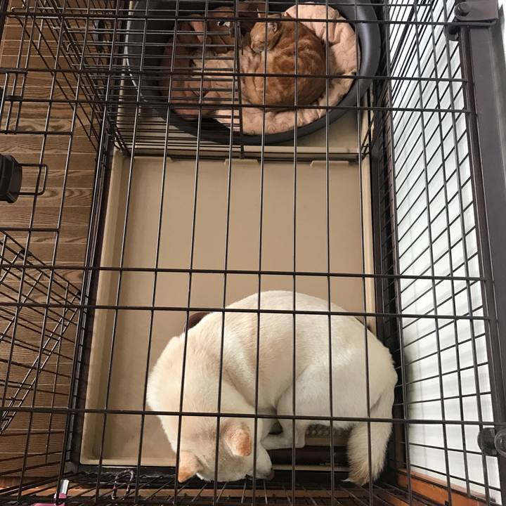 Dd900d69 b9f5 422a bc68 bd9073b19d1e 1510379932774