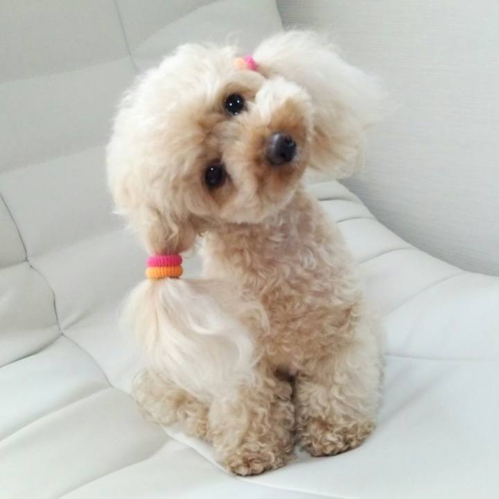 Dd902824 4bd9 4f2c b6bb 018d57296e76 1528459699775