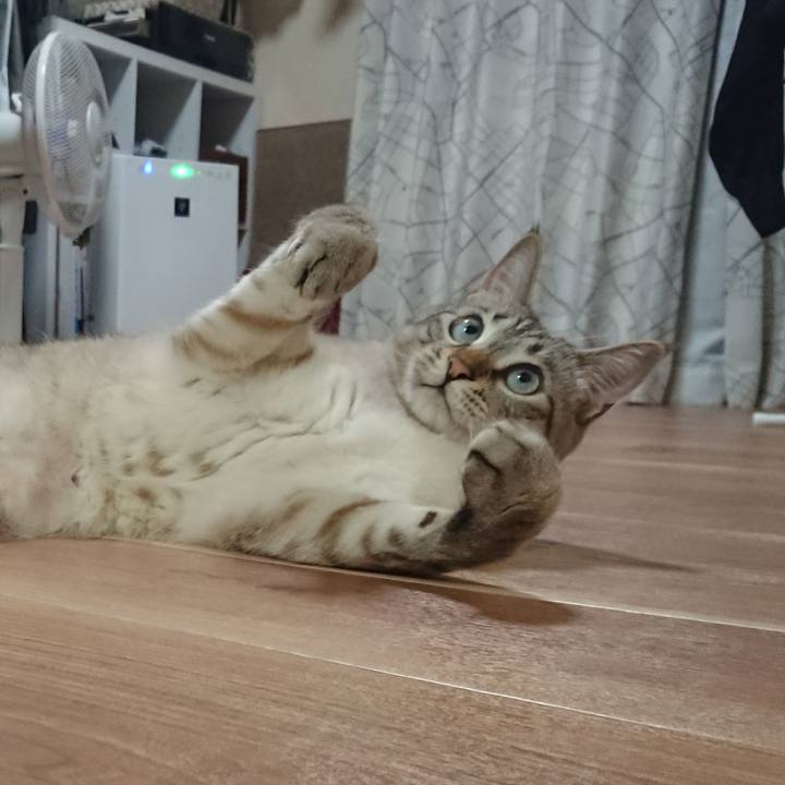 Dd90752a 81f4 4213 b3b6 26552339f5a6 1524661948504