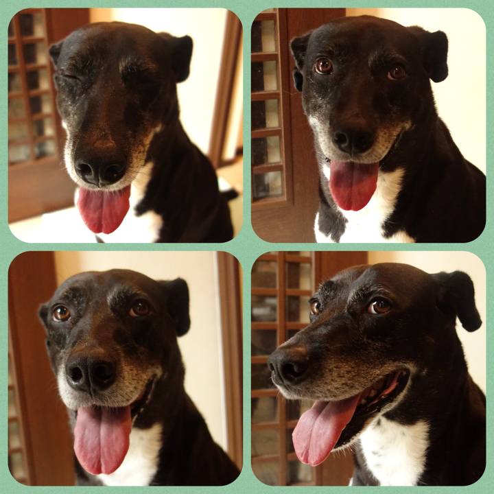 Dd908c9e 819b 46cf 852e 6ecf1a2785da 1726534132450