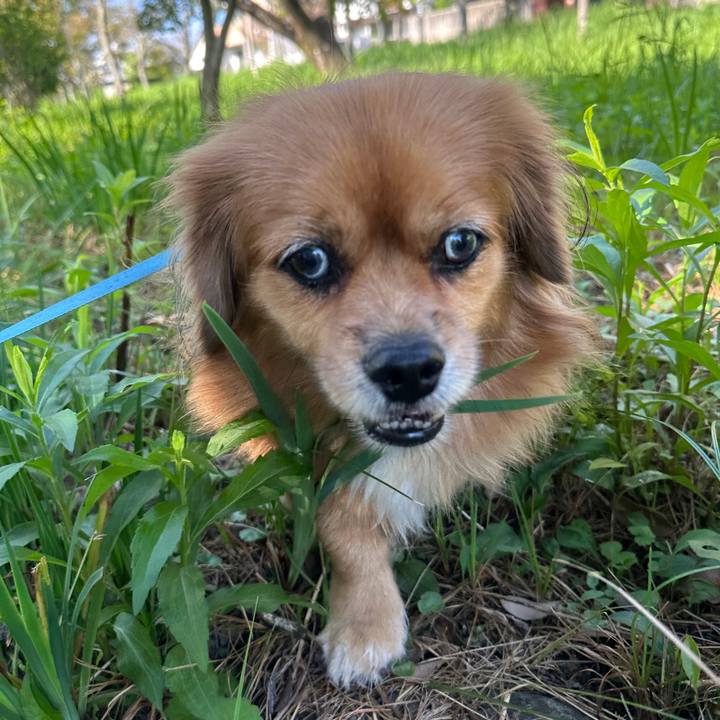 Dd90983a c68a 4e04 8e5d 2f1648c91599 1696034152516