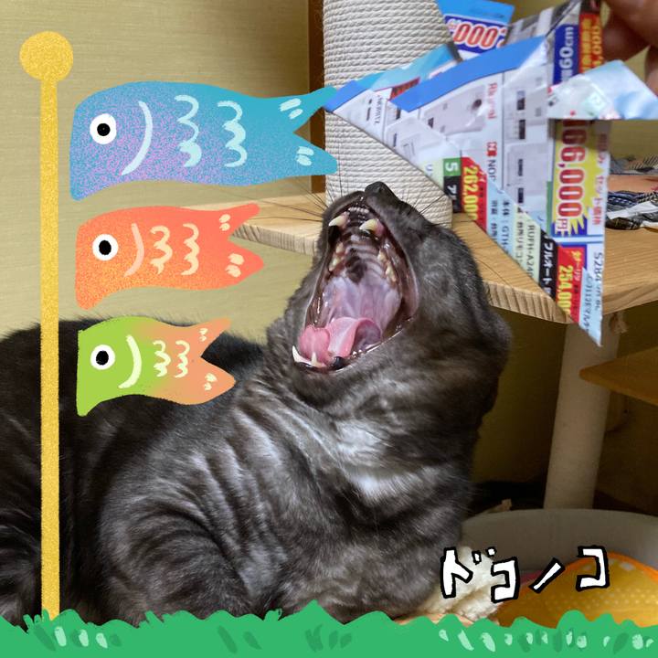 Dd9226b0 ac8b 499d ae67 0daf47a40af4 1714911520202