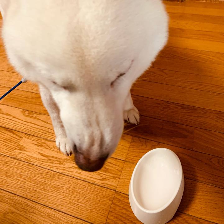 Dd923104 981d 472f 8ecd 1c65ddc43cf4 1637301039695