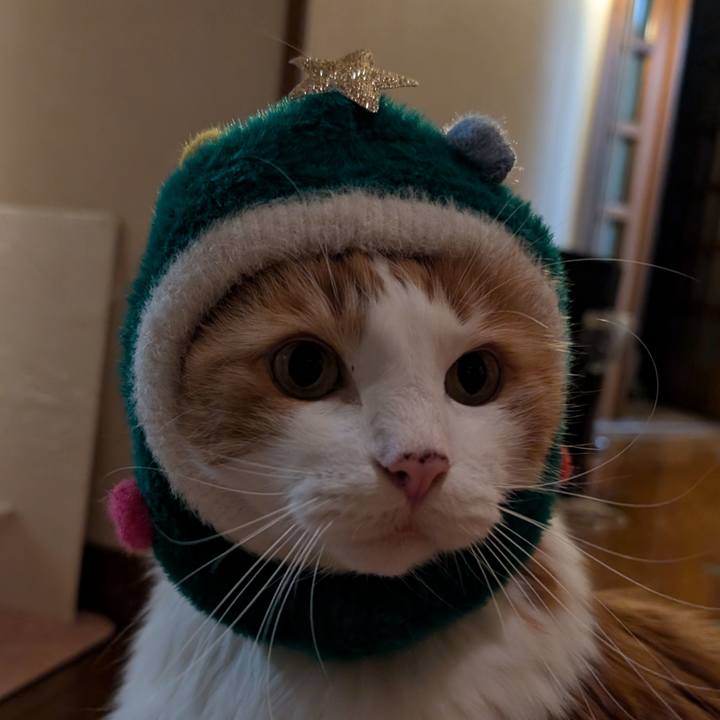 Dd924753 e820 4c7f 96da 08e03fa6cafe 1733137958942