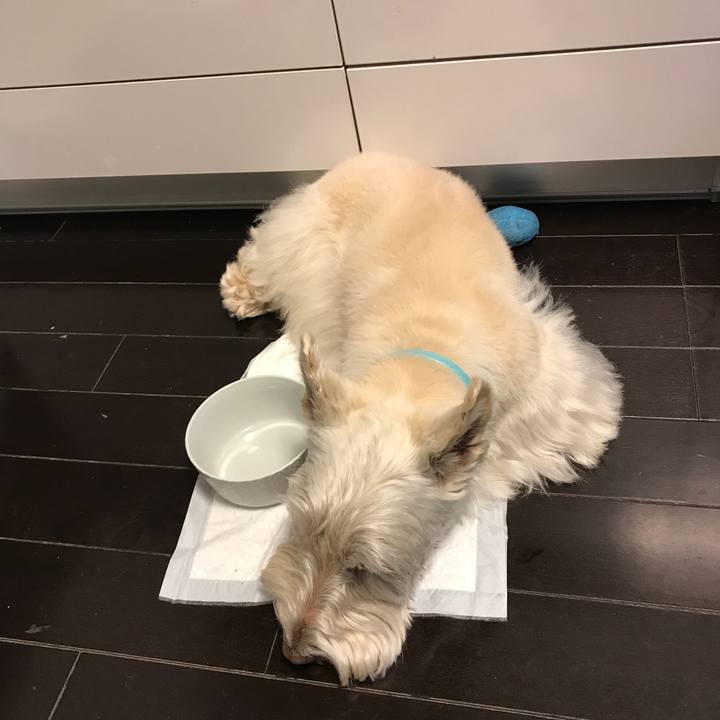 Dd9259c7 a88c 4260 b4e0 3e255cf8aa4e 1515234959097