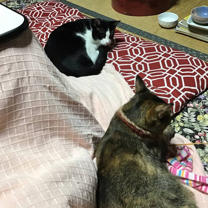 Dd928295 5ac5 4d3c 8992 5ecc526bf0bf 1636795051970