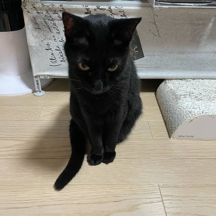 Dd92a0e6 a3e6 463d 8c1a 67e5b68b1042 1762862532816