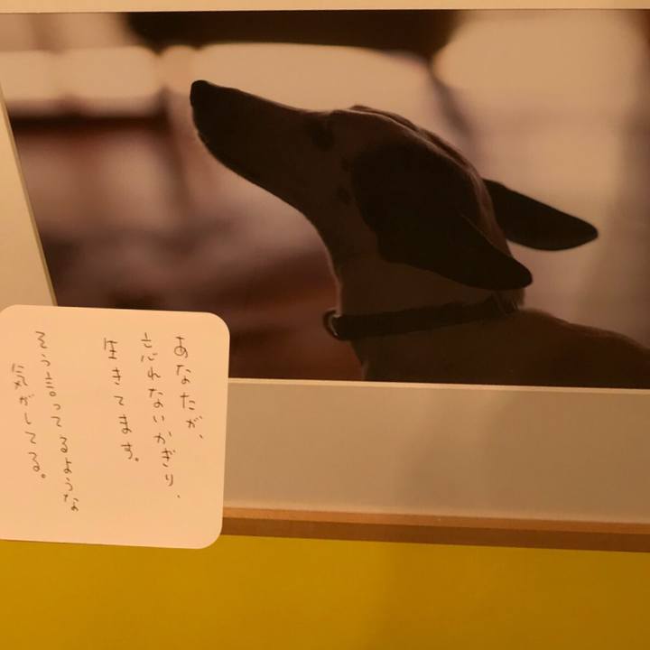 Dd92a5a5 92d3 49da a5ae 9db449186038 1526244625158