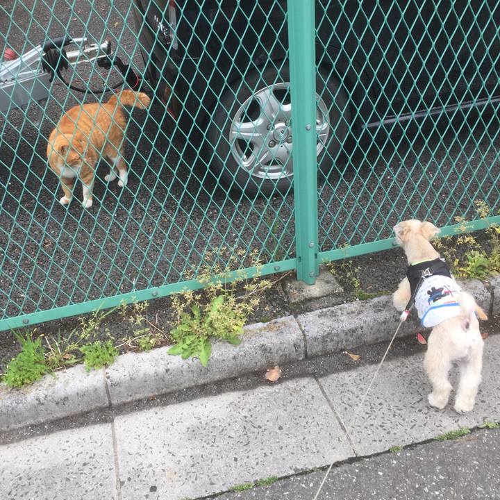 Dd92feaa 7287 4f16 b680 e34c821c8eb2 1556353819310