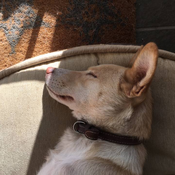 Dd93065a 50b4 4314 aeb2 a9ec32785d16 1510377251137