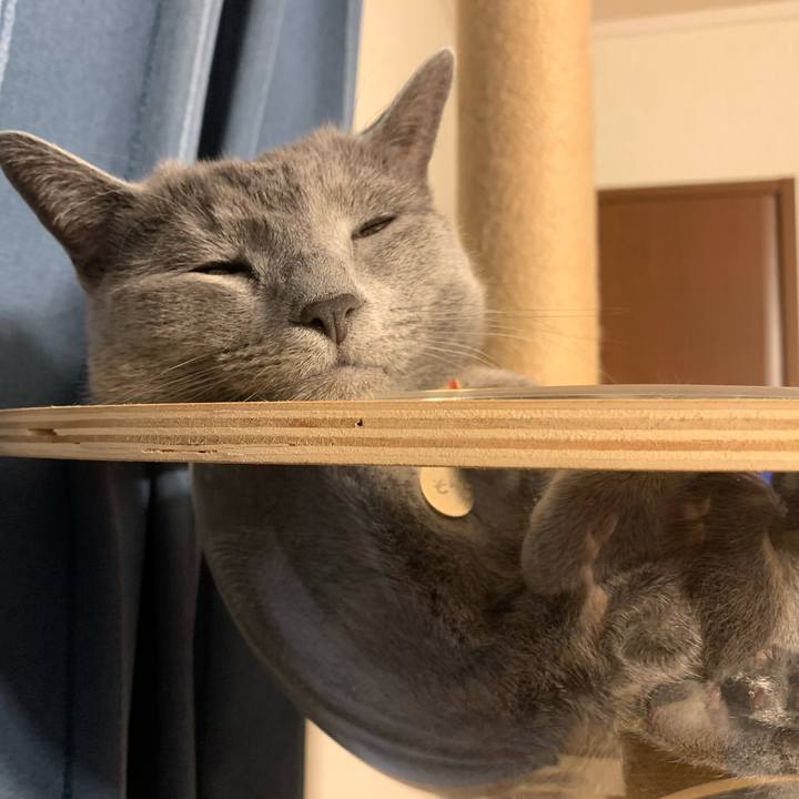 Dd931b56 a127 4a84 9726 139d36cc3109 1622198682133