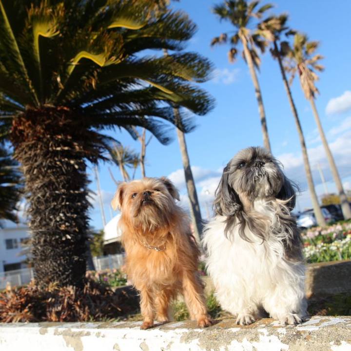 Dd932cde 3a69 42f1 863e d17a374cb10d 1602480495486