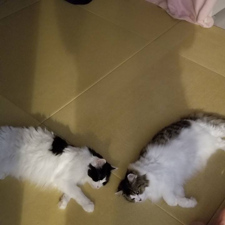 Dd936b24 d751 4434 9fb9 2c96abb2d73c 1598708694529