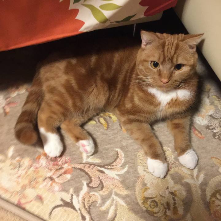 Dd936d70 5942 4605 85d7 d51e38e482df 1547346146575