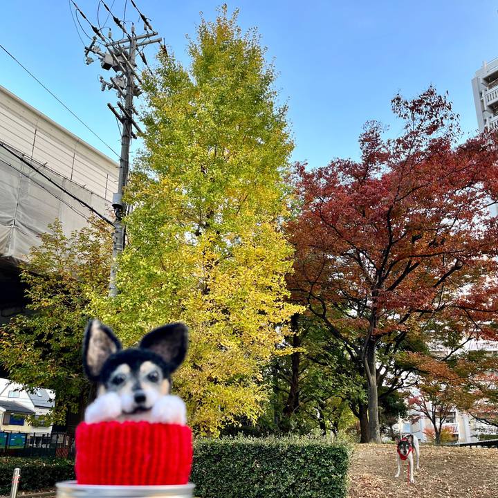 Dd938f3a b15a 4ba2 bbe6 bd8525f7a3ad 1668817567332