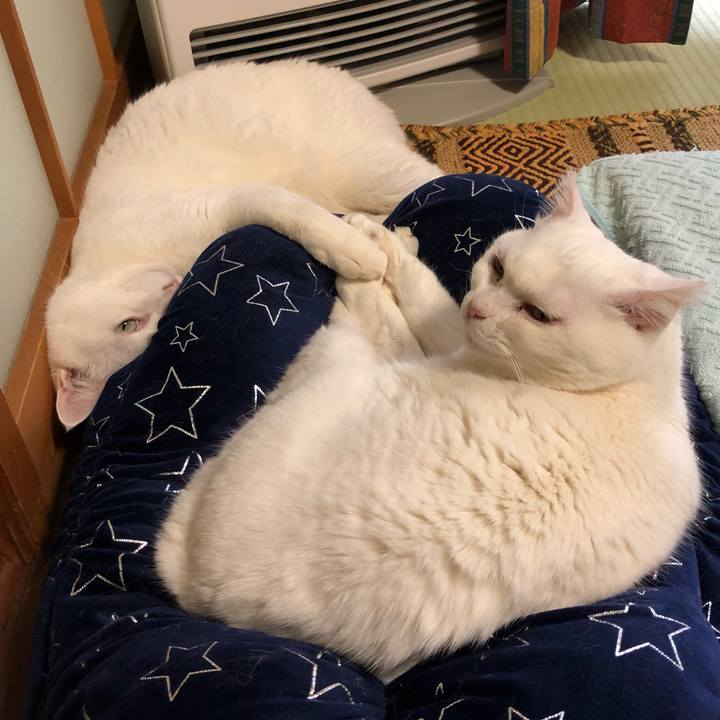 Dd93b6f9 b054 413e 9e8f e4cdf872359a 1548588851475