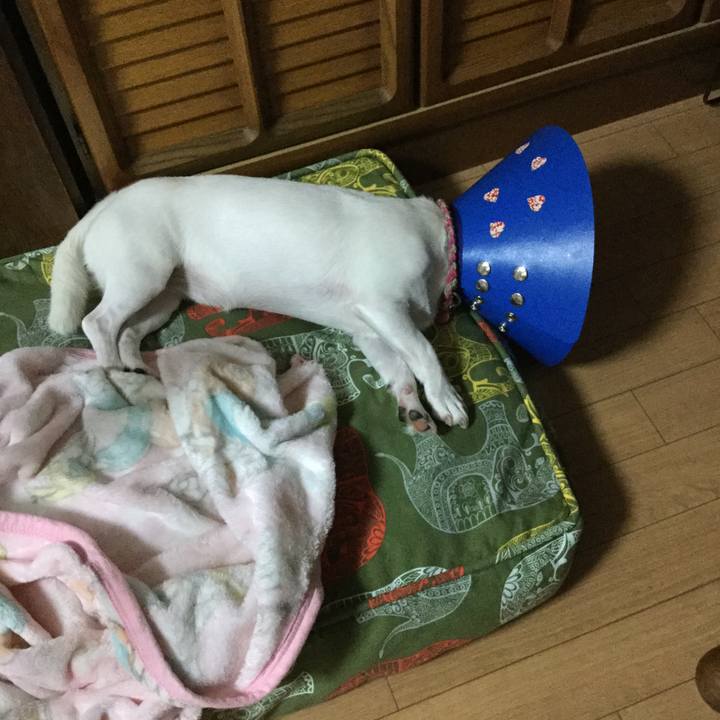 Dd93b744 ac95 46fa a779 541e59477000 1536667192234