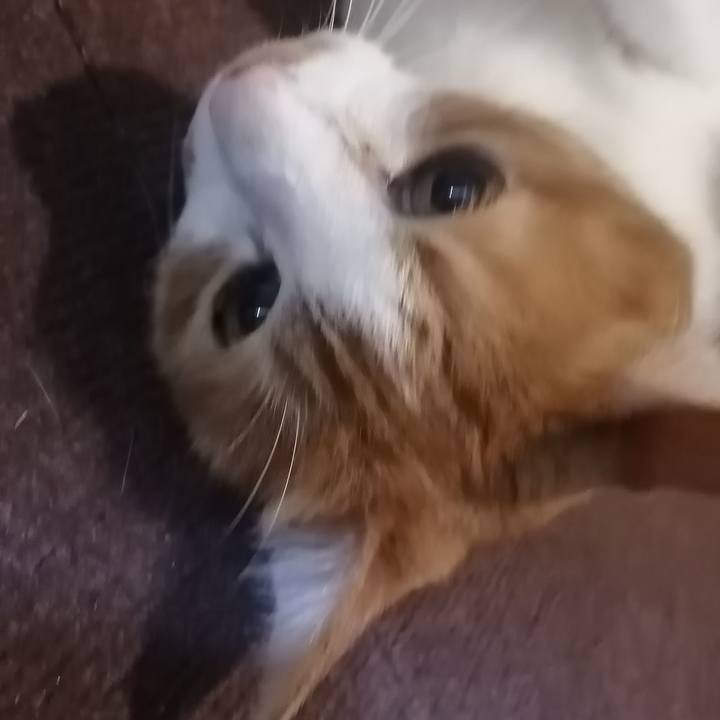 Dd93ba06 68a4 46a4 ba4c 202d9d2fe072 1633608960501