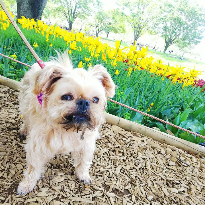 Dd93c77e f095 430d 9b53 1fcaf7f94f6c 1556942660066