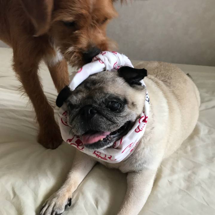 Dd93e9c3 ee9c 4e42 a1b8 299582ebe751 1532741221087