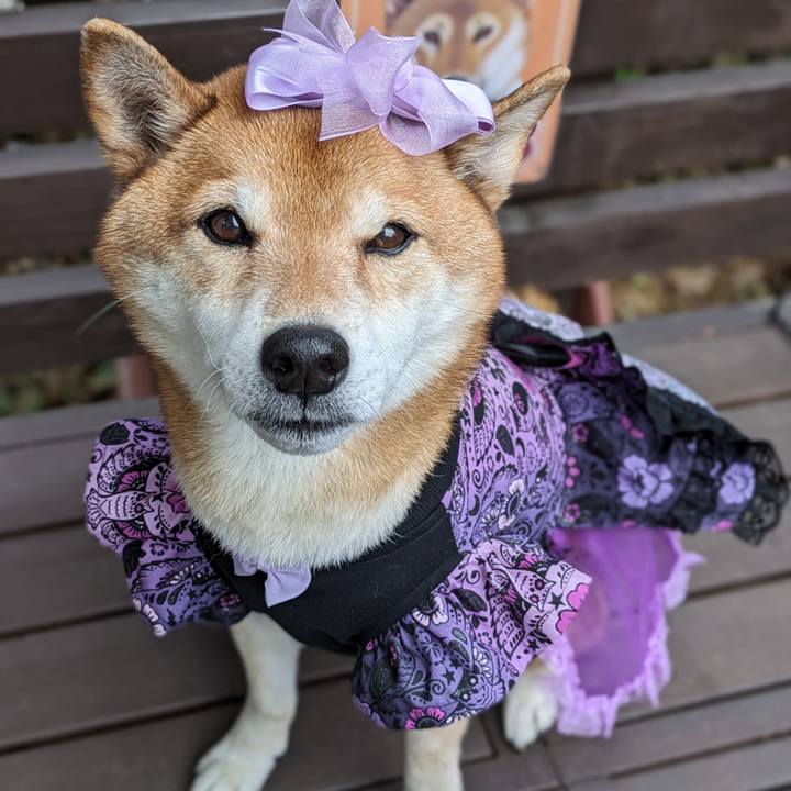 Dd93ecec b962 4790 9786 c74f056df528 1705908274971