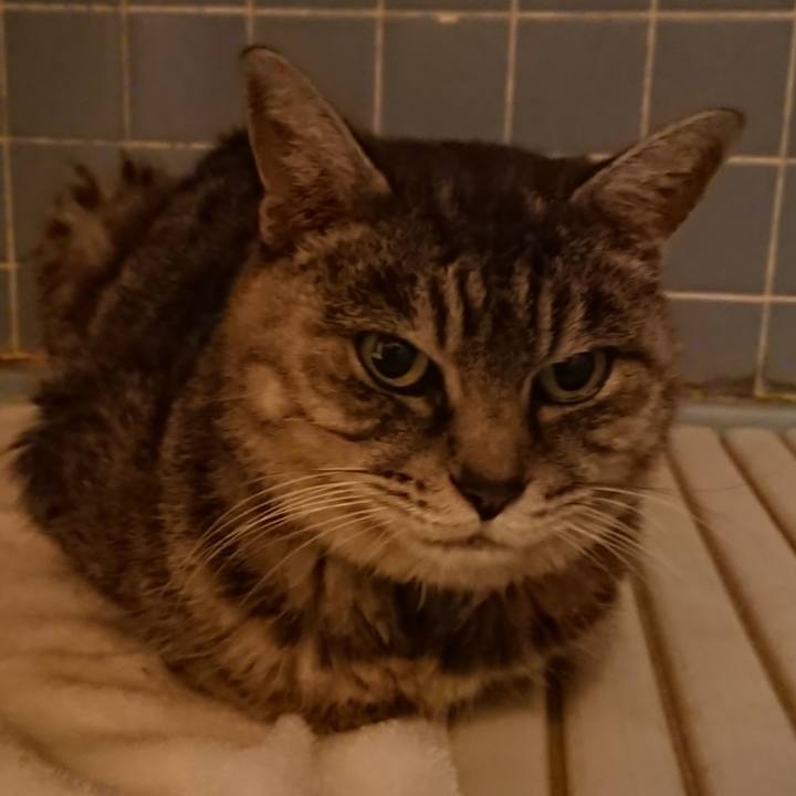 Dd9401f4 533e 4140 81ba 174045f3361f 1574591349562