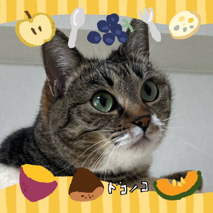 Dd940663 61c7 45fa b67d 138ea3c4bd37 1727275192030