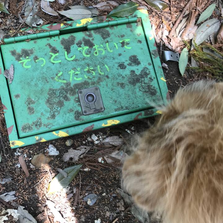 Dd941888 0448 4f5b 84ed 8001dba73369 1555824000697