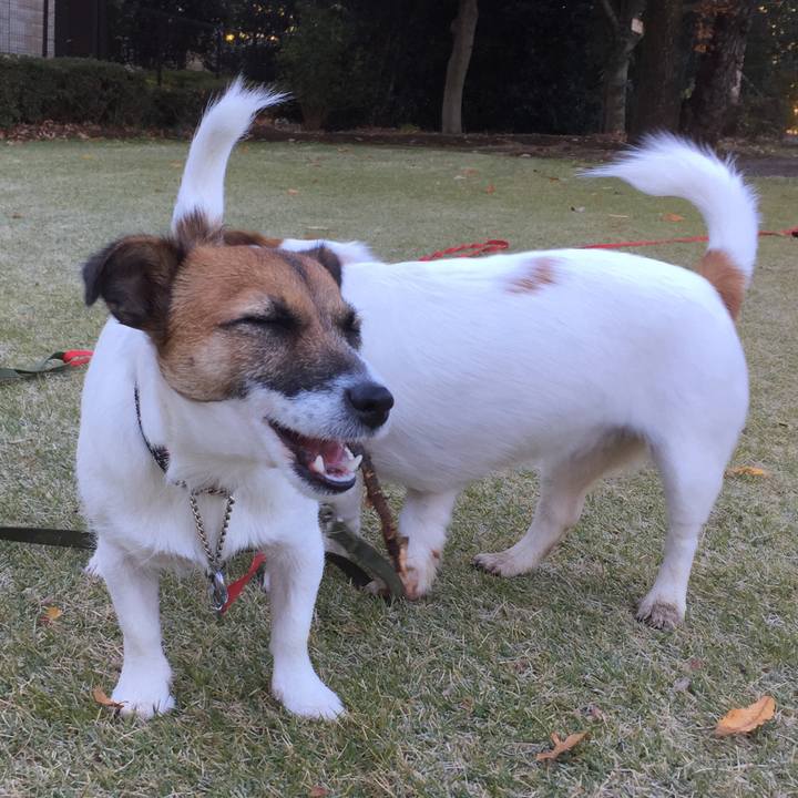 Dd94575f f1cb 4f69 8f6b ef85eee57438 1512031865967