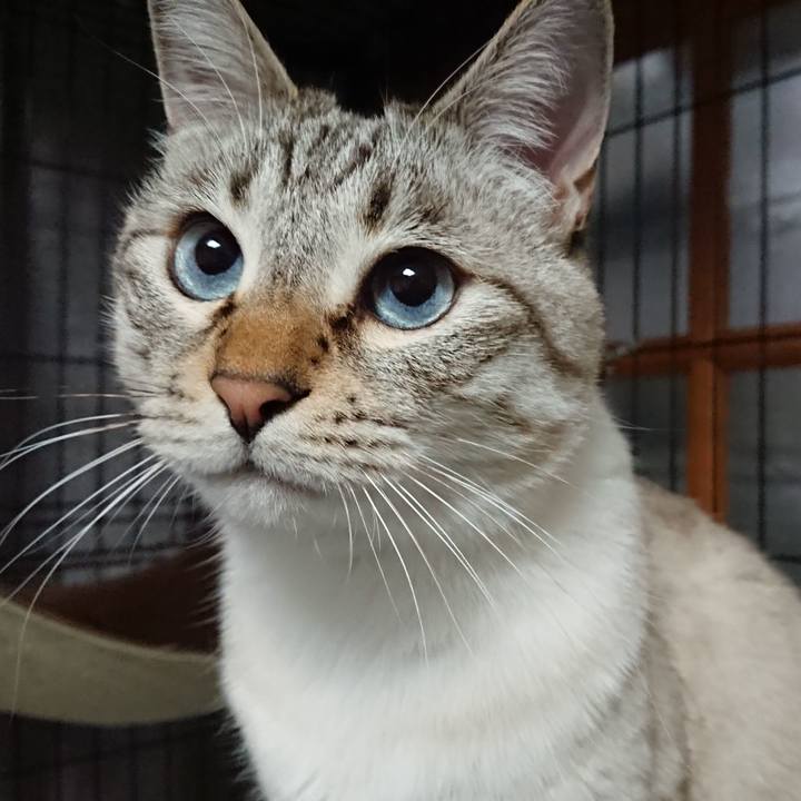 Dd945d3c f155 4436 8e25 630af069eec4 1578311732071