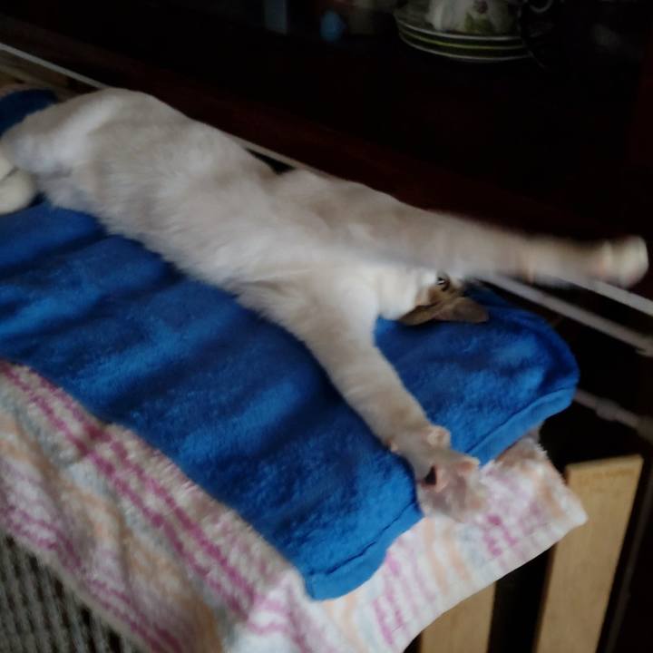 Dd946119 cbf1 49db a7ba 9bf2119798a2 1647818685053