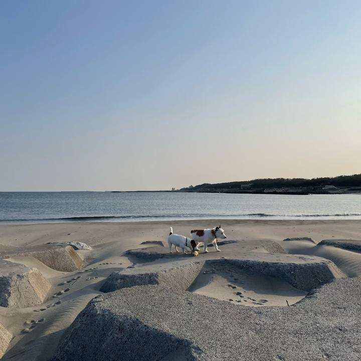 Dd9465a3 68a9 4233 9206 520a24040588 1678234613764