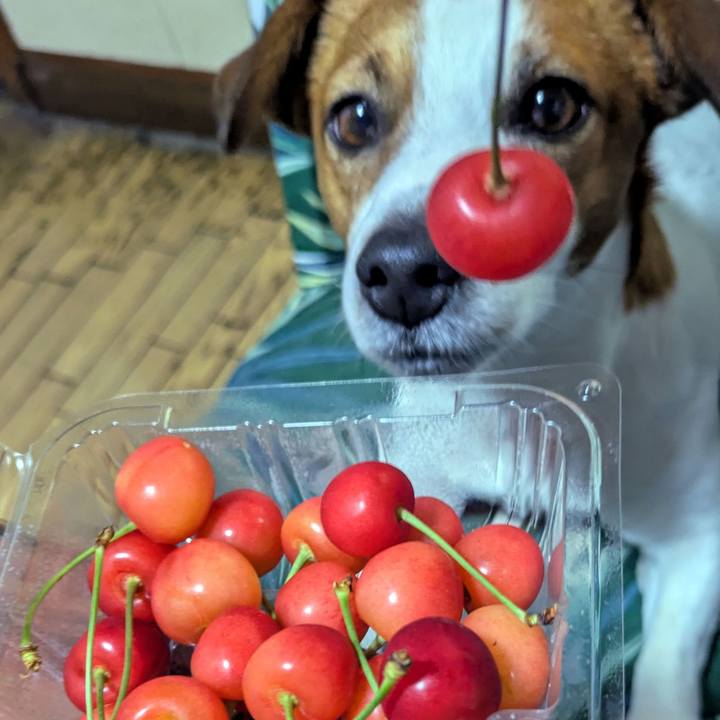 Dd947503 3715 4986 b90d 3084b0a3cfaf 1749858642237