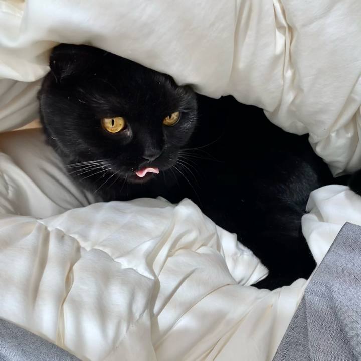 Dd94c3e8 5ea0 408a a1e6 35316210109d 1714292544610