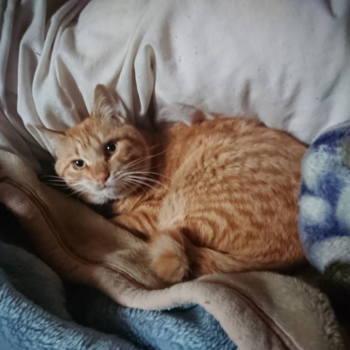 Dd94d8d3 cbc9 4ff9 9aad 8c1d9bdddaf9 1649024410447