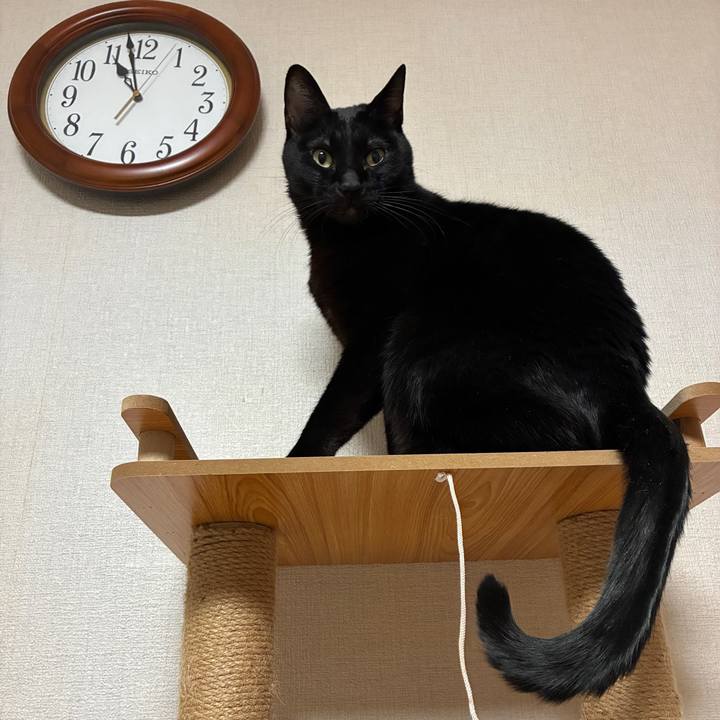 Dd94e1a6 8d3c 4110 8293 61a1d11cf00f 1768982902115