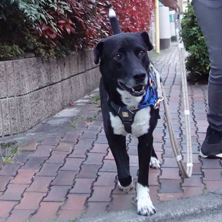 Dd94e8c8 bd7a 4571 aa69 a3b99244e9dc 1649502695375