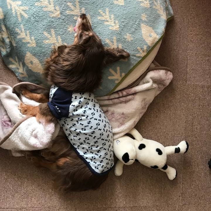 Dd9538be 5866 4aec 813f 21deea1413ba 1523065742379