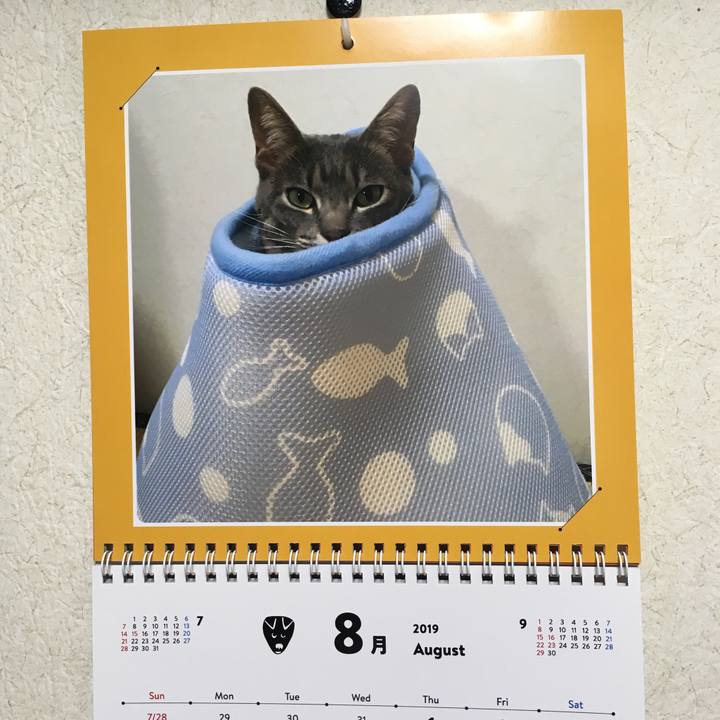 Dd953ea7 f5dd 42d9 8064 1618da2394d6 1564611071968