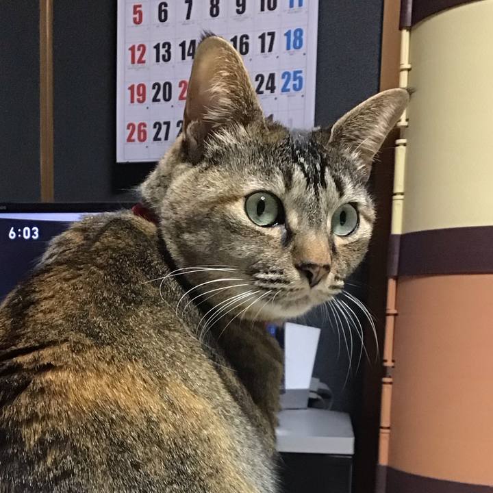 Dd955761 d1dd 4ebe a4ef df7217b39511 1678266575361