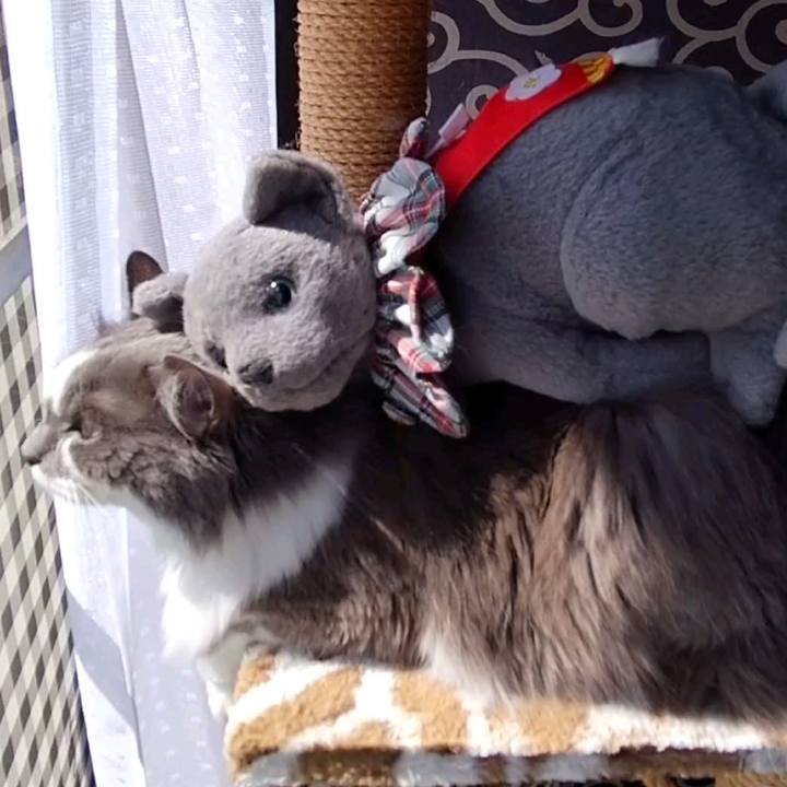 Dd957172 48df 46e9 9397 02590a713d4f 1633244676756