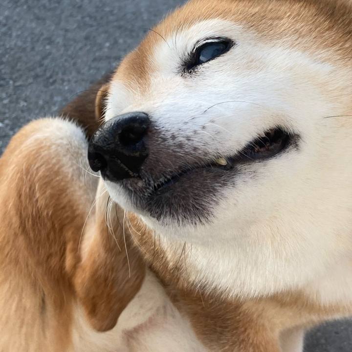 Dd95b199 bcc5 46ac 9726 3eb56cfd7874 1708769258832