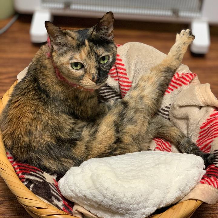 Dd95cc02 37da 453d beb4 7acb0f775921 1613140500420